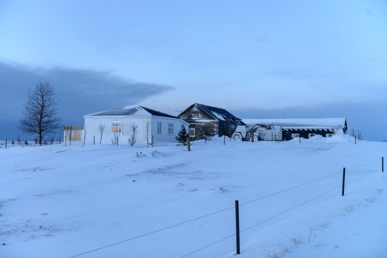 Vila Gamla Husith - The Old House Selfoss Exteriér fotografie
